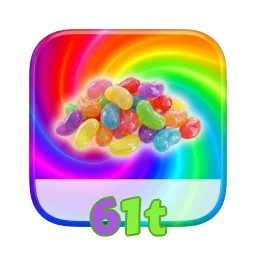 61t